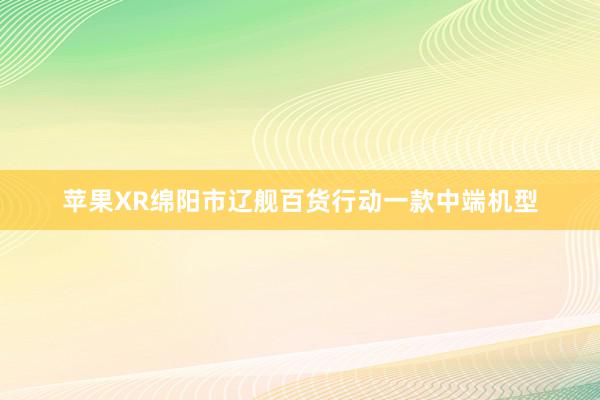 苹果XR绵阳市辽舰百货行动一款中端机型